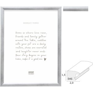 Deknudt S54SD3 Bilderrahmen Silber Holz Klarglas in 6...