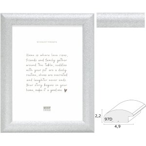Deknudt S97DD7 Holzrahmen Silber Klarglas 13x18 bis 40x60 cm