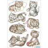 Štítky na šperky HERMA DECOR cute kitten 3 listy