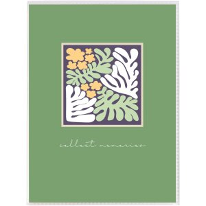 Goldbuch Einsteckalbum Aura farblich sortiert 32 Fotos 13x18 cm