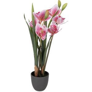 Clayre & Eef Dekoratívna figúrka Cattleya Hybrida ružovo-zelená 55 cm