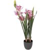 Clayre & Eef Dekoratívna figúrka Cattleya Hybrida ružovo-zelená 55 cm