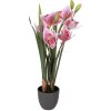 Clayre & Eef Dekoratívna figúrka Cattleya Hybrida ružovo-zelená 55 cm