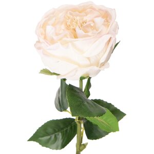 Clayre & Eef Dekoratívna ruža biela 9x9x43 cm...