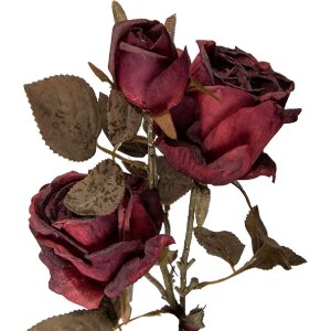 Clayre & Eef Dekorácia vetva s kvetmi červeno-zelená 12x12x70 cm