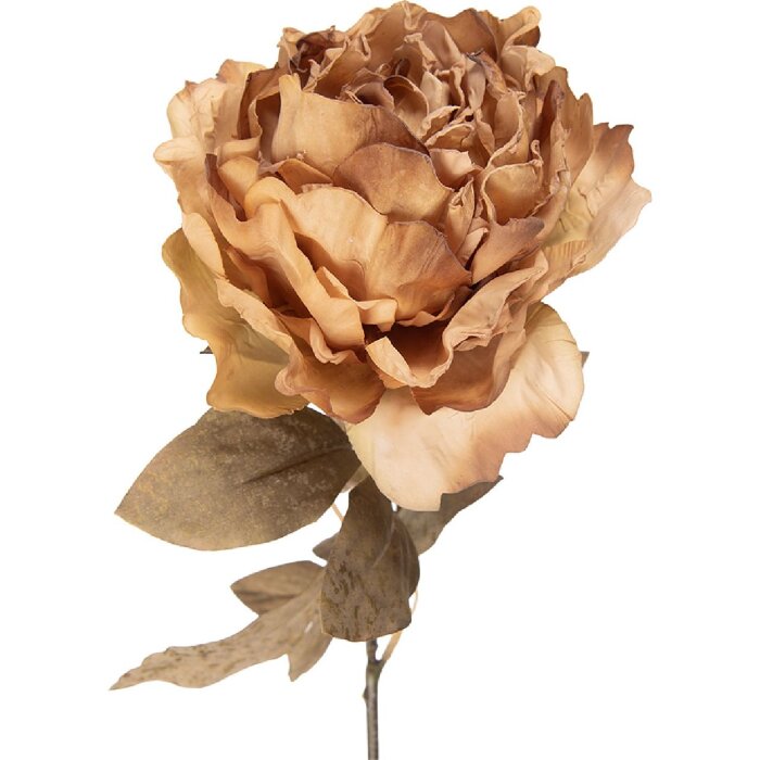 Clayre & Eef Umělá kvetina pánika 14x14x70 cm béžovozelená