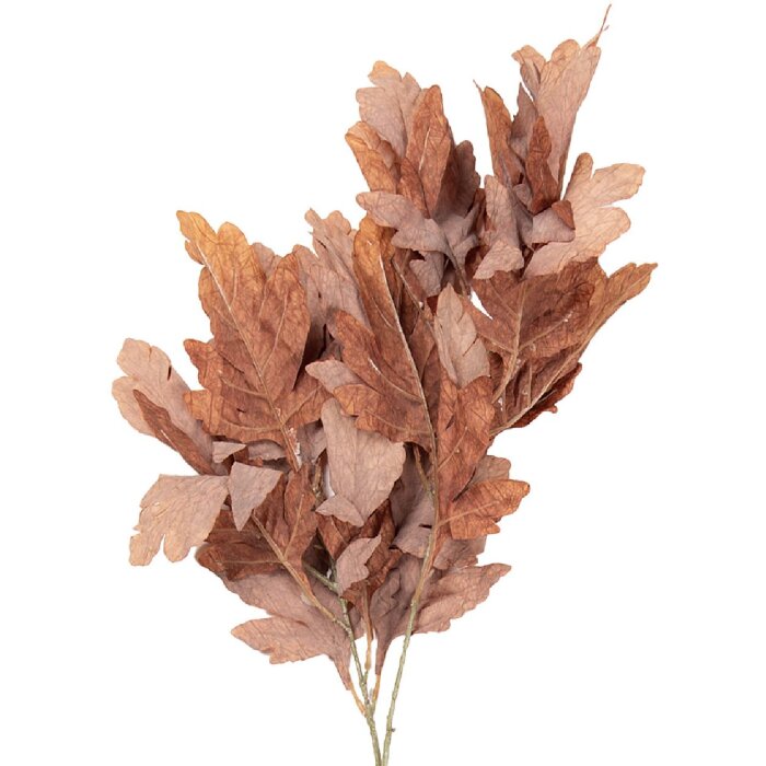 Clayre & Eef 5PL0253CH Dekoratívna vetva prírodné hnedo-zelená 15x22x104 cm