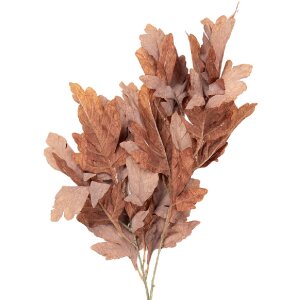 Clayre & Eef 5PL0253CH Dekoratívna vetva prírodné hnedo-zelená 15x22x104 cm