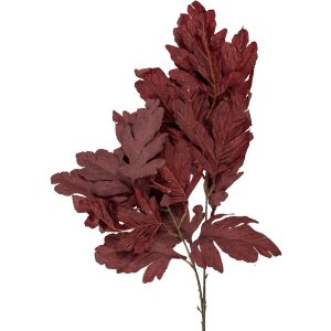 Clayre & Eef dekoratívna větva...