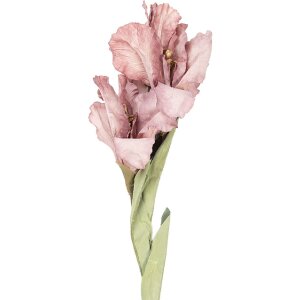 Clayre & Eef 5PL0256P Dekorácia s vetvami a...