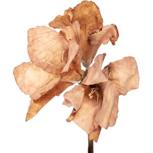 Clayre & Eef Dekoratívna kvetina hnedá...