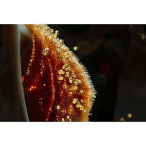 Mauro Ferretti obraz na plátne ILLUMY s rámom 62x92 cm multicolor