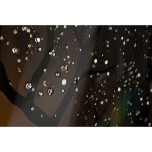 Mauro Ferretti Obraz "Pavučnica" – Dekoratívna na stenu s rámom 70x100 cm, borovicový rám, zlaté akcenty