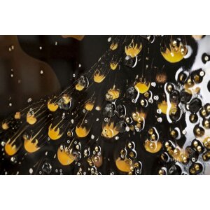 Mauro Ferretti Obraz "Pavučnica" – Dekoratívna na stenu s rámom 70x100 cm, borovicový rám, zlaté akcenty