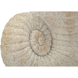 Mauro Ferretti Vase SHELL SAND Beige 33x19x23cm