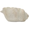Mauro Ferretti Váza SHELL SAND Béžová 35x23x18cm – MGO, morská šťavuľa, piesková textúra