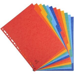 Exacompta Register A4 12-teilig farbig Manila Nature...