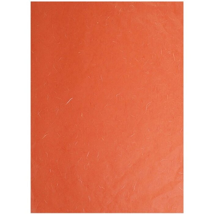 Clairefontaine Pack Strohseide 65x95cm 10 Blatt Orange 35g