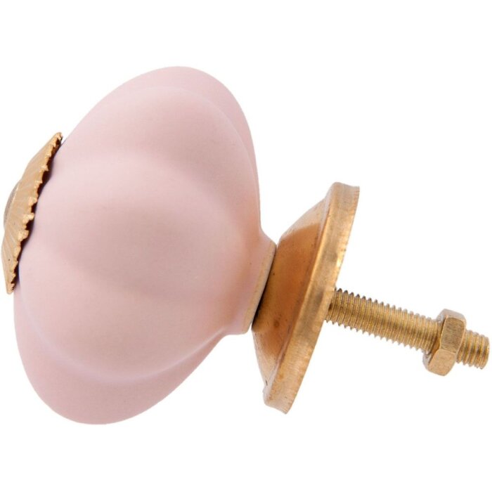 Obyčajná ružová (63803)